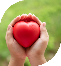 Heart Image